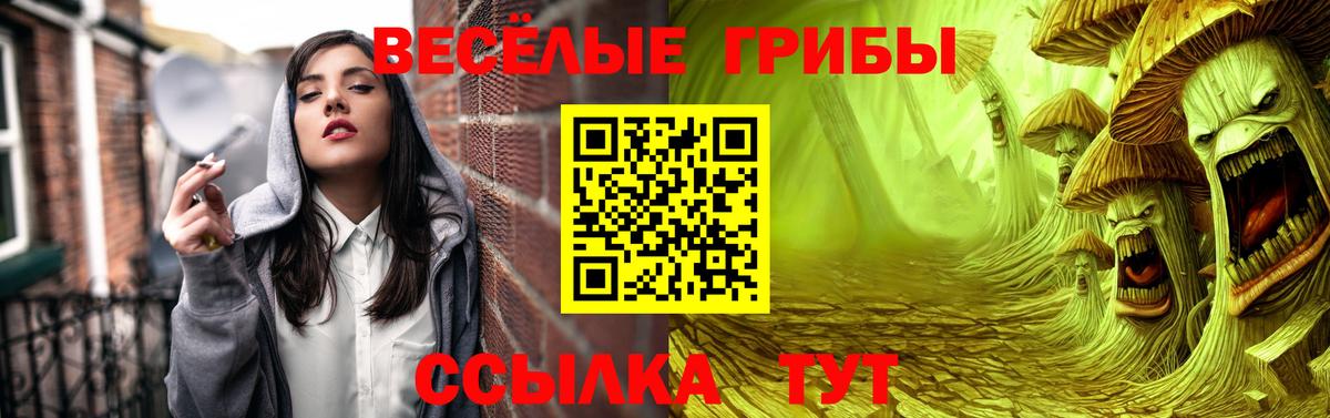 Псилоцибиновые грибы Cubensis Еманжелинск